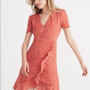 Madewell pink chiffon twisted vines dress